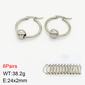 Stainless Steel Earrings  2E2002317bhva-212