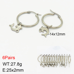 Stainless Steel Earrings  2E2002318bhva-212