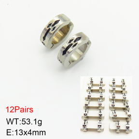 Stainless Steel Earrings  2E3001564bmmb-256