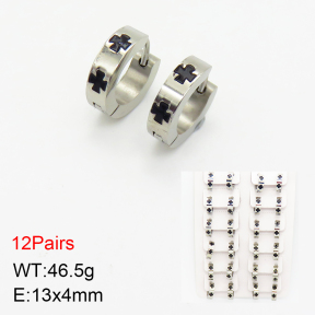 Stainless Steel Earrings  2E3001567bmmb-256