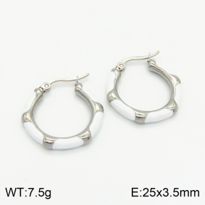 Stainless Steel Earrings  2E3001568bbov-259