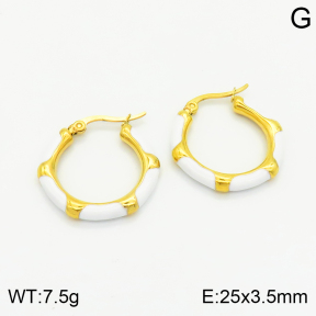 Stainless Steel Earrings  2E3001569bhva-259