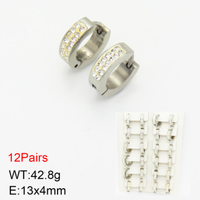 Stainless Steel Earrings  2E4002477bmmb-256