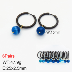 Stainless Steel Earrings  2E4002505vihb-212