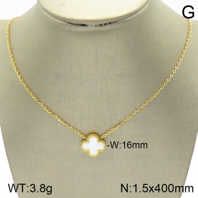 Stainless Steel Necklace  2N4001991vbnb-669