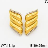 Stainless Steel Earrings  Zircon,Handmade Polished  5E4002472vhkb-066