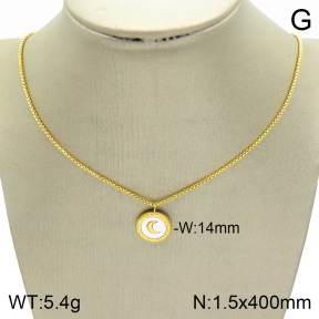 Stainless Steel Necklace  2N3001213vbmb-739