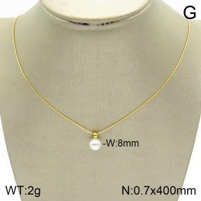 Stainless Steel Necklace  2N3001214ablb-739