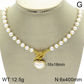 Stainless Steel Necklace  2N3001220bvpl-739