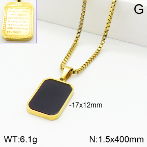 Stainless Steel Necklace  2N4002003vbmb-739