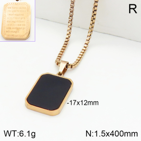 Stainless Steel Necklace  2N4002004vbmb-739