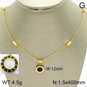Stainless Steel Necklace  2N4002007bbml-739