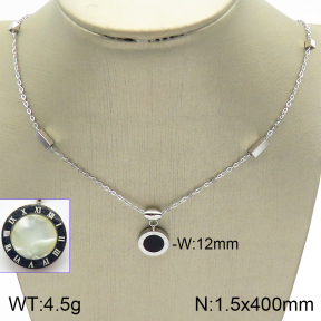 Stainless Steel Necklace  2N4002008vbll-739