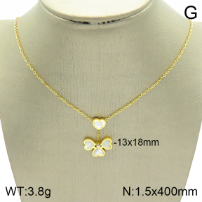 Stainless Steel Necklace  2N4002011bbml-739