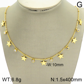 Stainless Steel Necklace  2N4002025vbpb-739