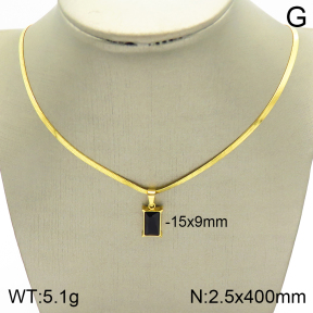 Stainless Steel Necklace  2N4002042bbml-739