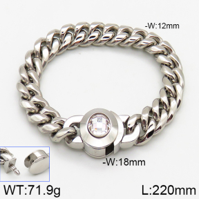 Stainless Steel Bracelet  5B4002279vina-237