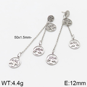 Stainless Steel Earrings  5E2002581vbnb-706