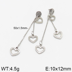 Stainless Steel Earrings  5E2002605vbnb-706