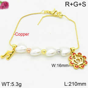 Fashion Copper Bracelet  F2B300509bhva-J39