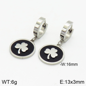 Stainless Steel Earrings  2E4002530vbmb-414