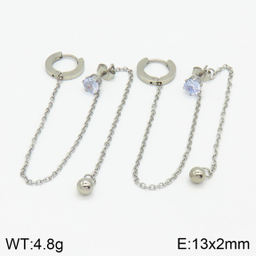 Stainless Steel Earrings  2E4002532bbml-414