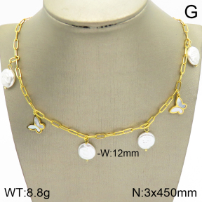 Stainless Steel Necklace  2N3001201bhva-414
