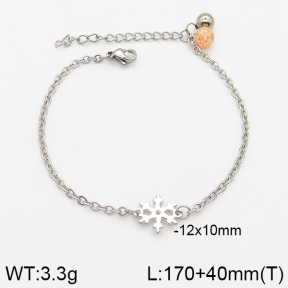 Stainless Steel Bracelet  5B4002319baka-350