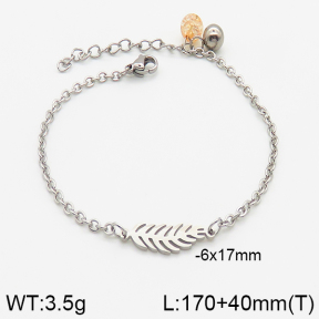 Stainless Steel Bracelet  5B4002322baka-350