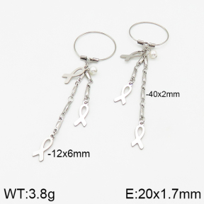 Stainless Steel Earrings  5E3001109vbmb-350