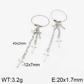 Stainless Steel Earrings  5E3001110vbmb-350