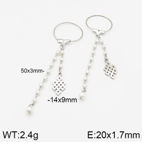 Stainless Steel Earrings  5E3001113vbmb-350