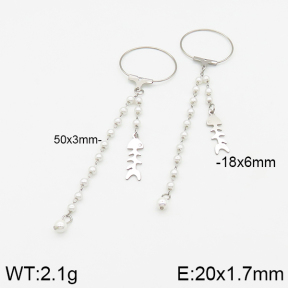 Stainless Steel Earrings  5E3001117vbmb-350