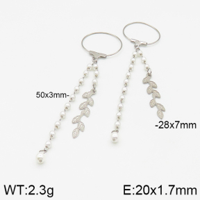 Stainless Steel Earrings  5E3001118vbmb-350