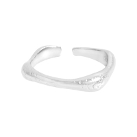 925 Silver Ring  WT:2.64g  4.01mm  JR4856aijn-Y24  
JZ691