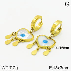 Stainless Steel Earrings  2E3001590vbnl-464