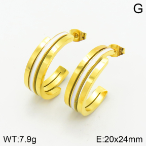 Stainless Steel Earrings  2E3001591bbov-464