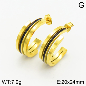 Stainless Steel Earrings  2E3001592bbov-464