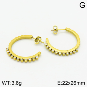 Stainless Steel Earrings  2E4002543bbml-464
