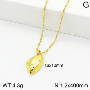 Stainless Steel Necklace  2N2003218vbpb-710