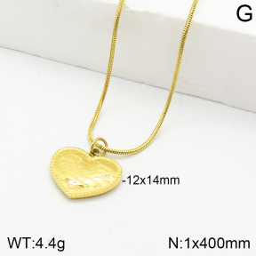 Stainless Steel Necklace  2N2003220ahlv-710