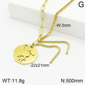 Stainless Steel Necklace  2N2003232ahjb-710