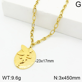 Stainless Steel Necklace  2N2003237ahjb-710