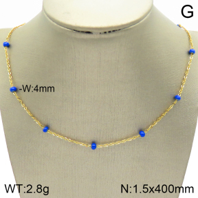 Stainless Steel Necklace  2N3001200vbll-368