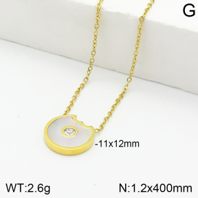 Stainless Steel Necklace  2N3001226vhha-710