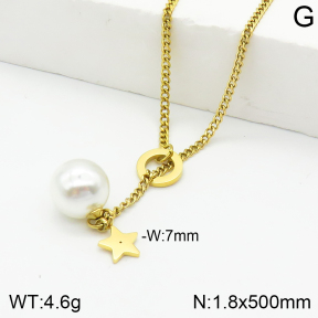 Stainless Steel Necklace  2N3001227vhha-710