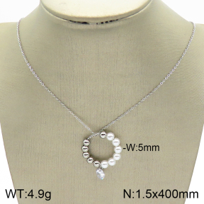 Stainless Steel Necklace  2N3001239vail-749