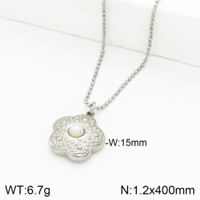Stainless Steel Necklace  2N3001240vaia-749