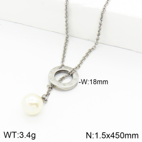 Stainless Steel Necklace  2N3001243vail-749