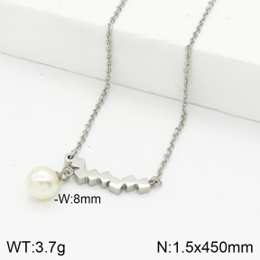 Stainless Steel Necklace  2N3001246vail-749